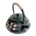 Japanese cast iron teapot
