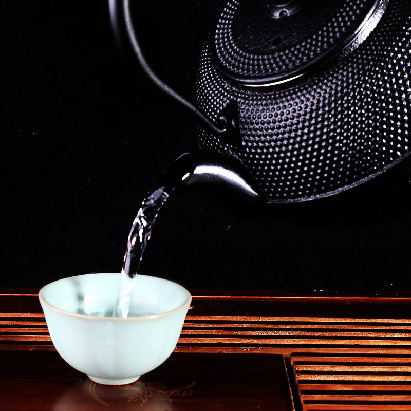 Japanese pig iron pot