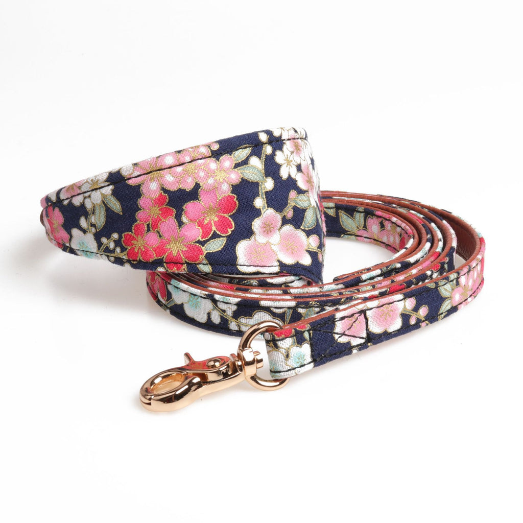 Japanese dog collar leash set